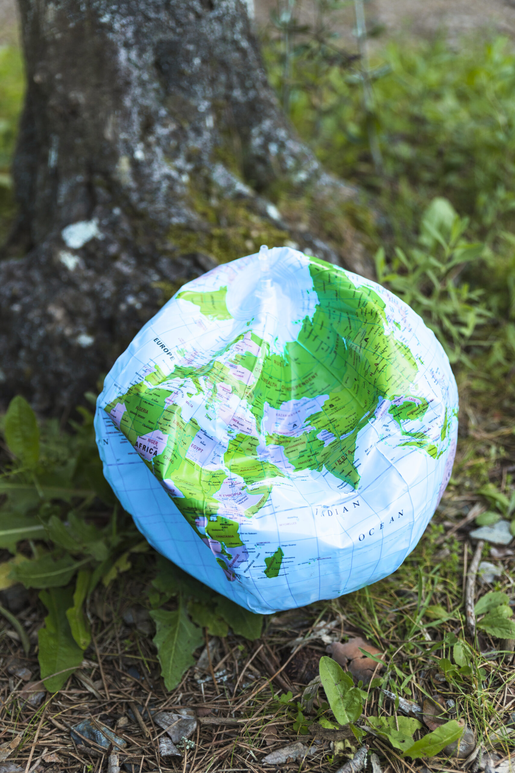 El medio ambiente como molde