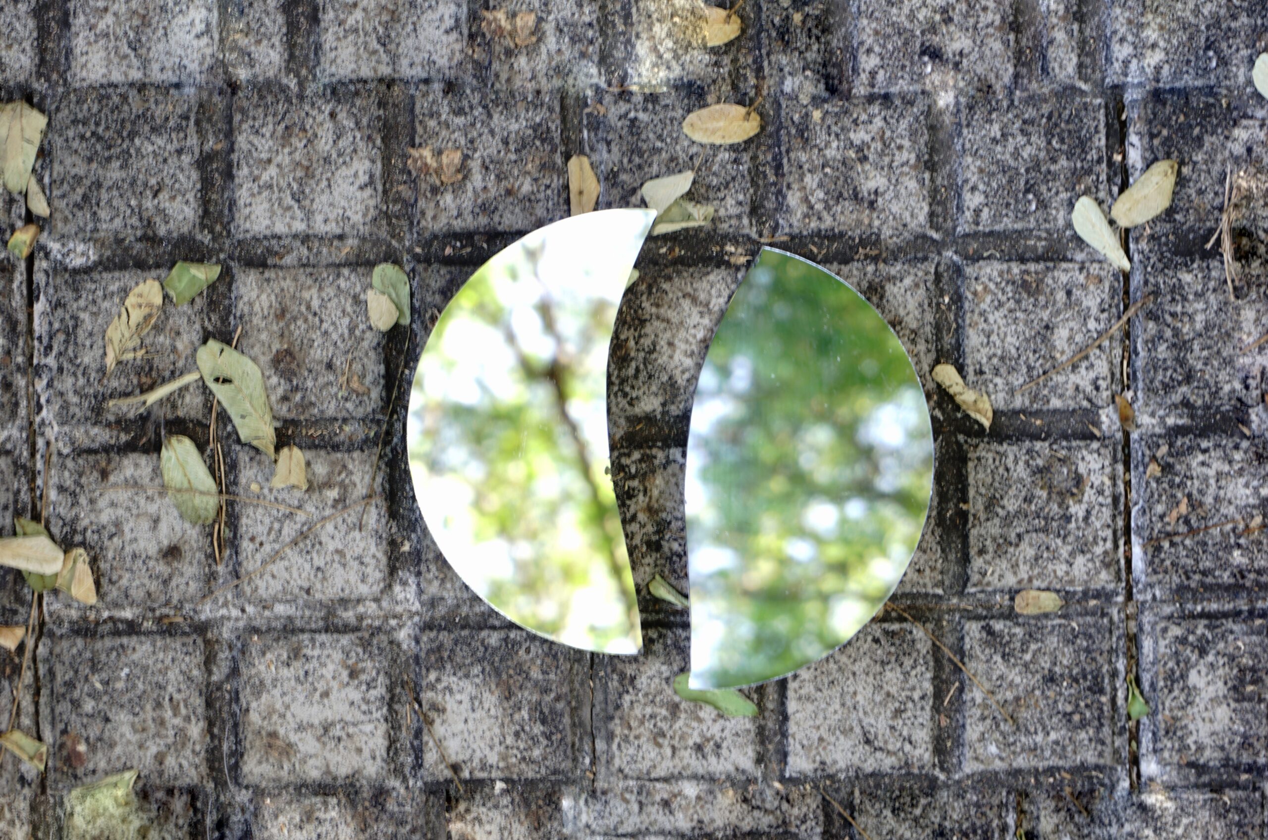 Explicación funcional